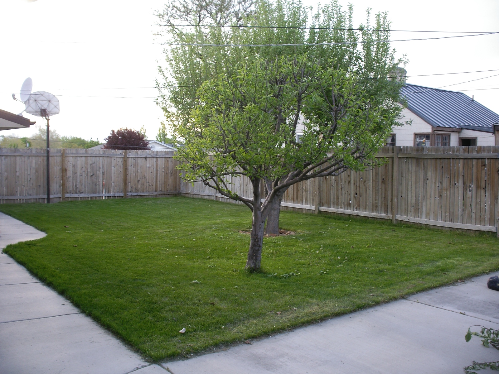 Orem Duplex photo 14