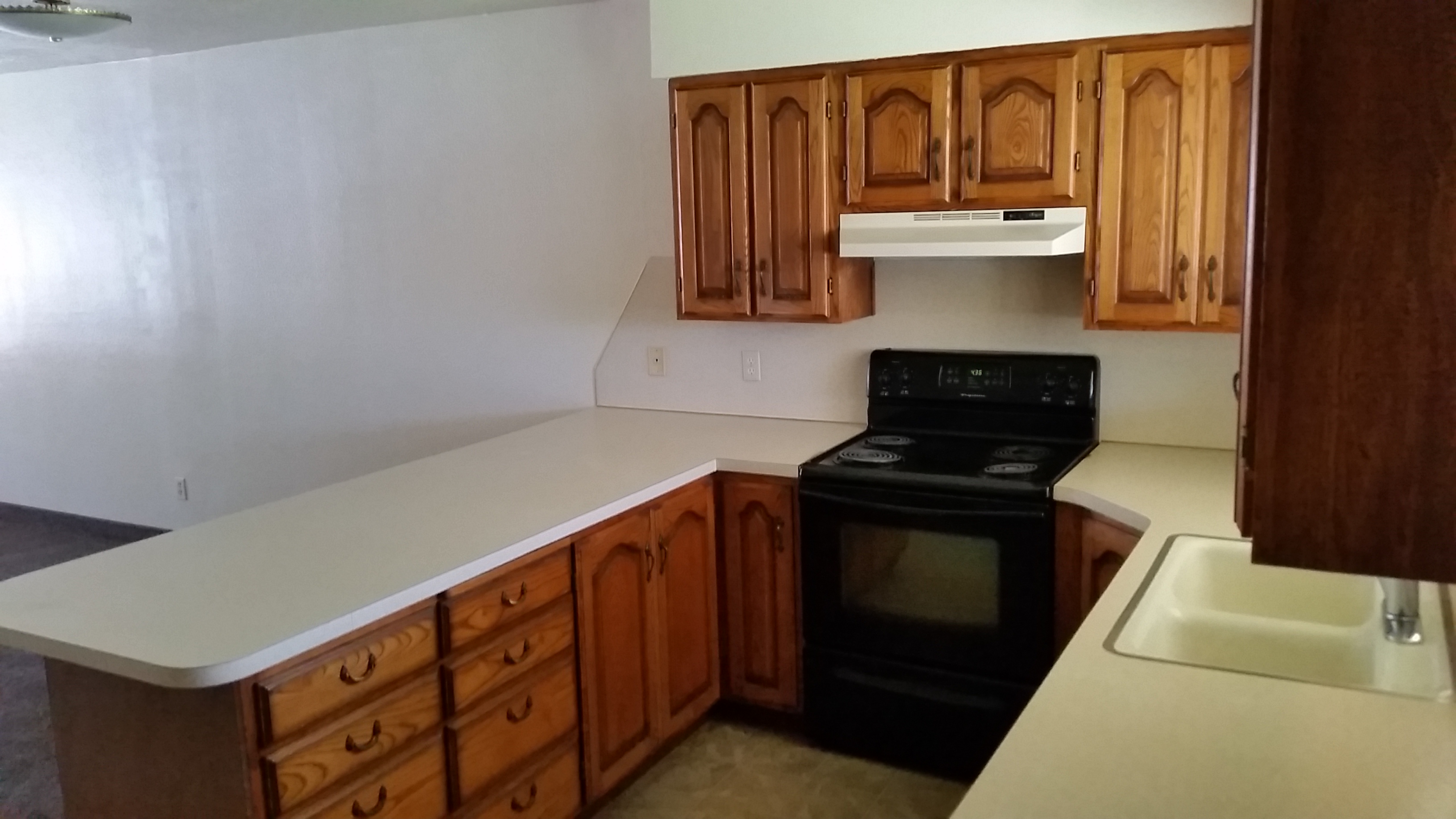 Springville Duplex photo 3
